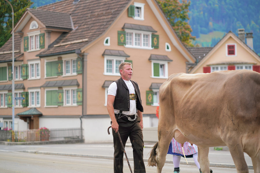 A man in a black waistcoat beside a brown cow in front of village houses.