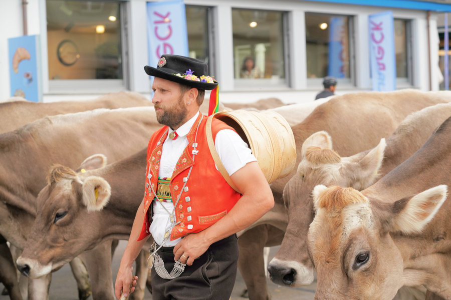 A bearded man in red traditional dress carrying a wooden vessel on his back among cows.
