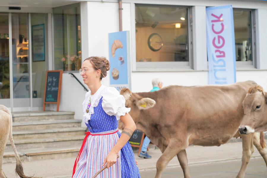 A woman in blue traditional dress and a striped skirt beside brown cows.