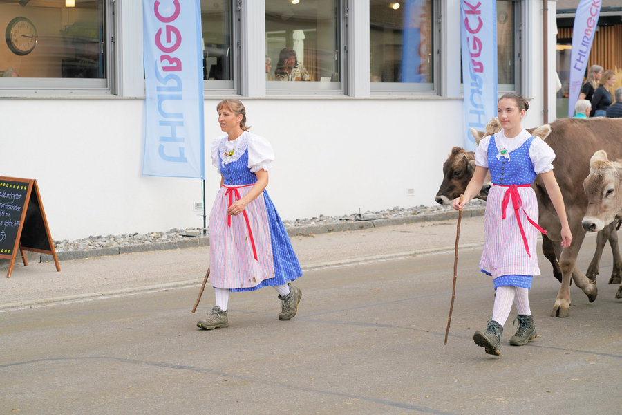Two women in blue traditional dress carrying sticks beside brown cows on the village street.