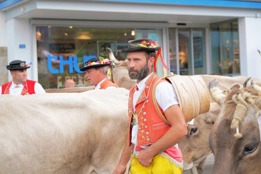 A bearded man in a decorated hat, red waistcoat and yellow trousers among cows.