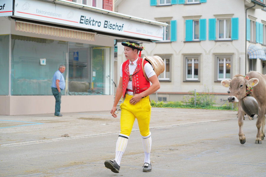 A young man in a red waistcoat and yellow trousers carrying a stick, with a cow wearing a bell behind him.