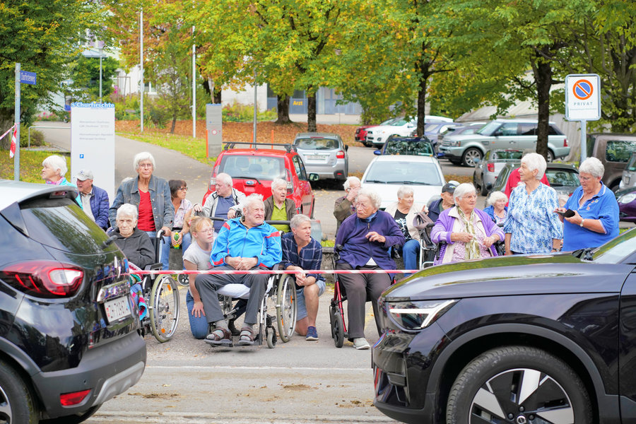 Spectators sitting and standing between parked cars beneath trees.