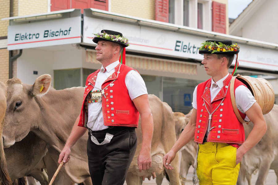 Two men in decorated hats and red waistcoats among cows in front of village houses.