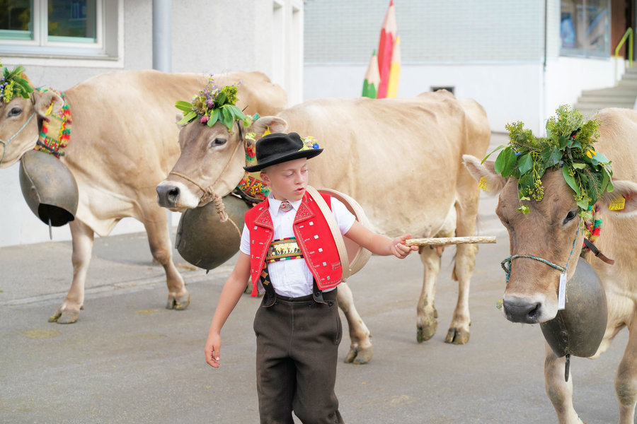 A child in a red waistcoat and black hat beside a decorated cow with a large bell.
