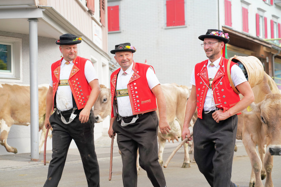 Three men in red waistcoats and decorated hats walk with the herd along the village street.