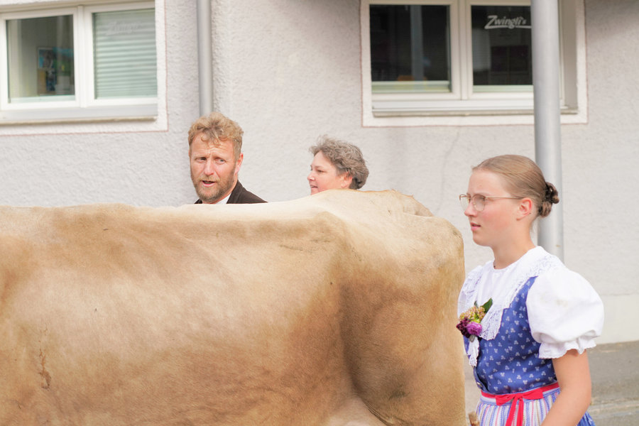 A woman in blue traditional dress and two other handlers behind a brown cow in front of a wall.