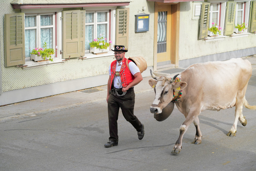 A man in a red waistcoat and decorated hat walks with a cow wearing a large bell in front of an old facade.