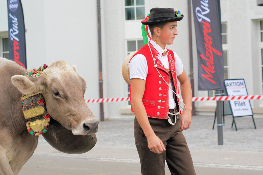 A young man in a red waistcoat and black hat walks beside a decorated cow with a large bell.