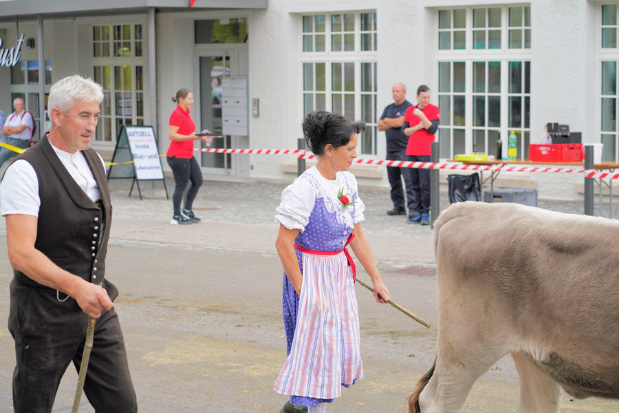 A man in a dark waistcoat and a woman in blue traditional dress follow a cow past a shop window and spectators.