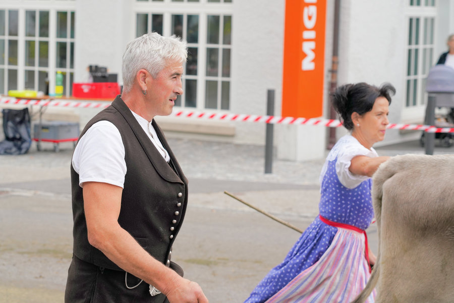 Close side view of a grey-haired man in a dark waistcoat and a woman in blue traditional dress beside a cow.