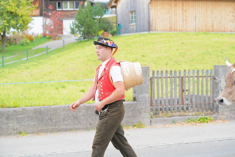 A man in a red waistcoat and decorated hat carries a wooden vessel on his back beside a cow in front of a green meadow.