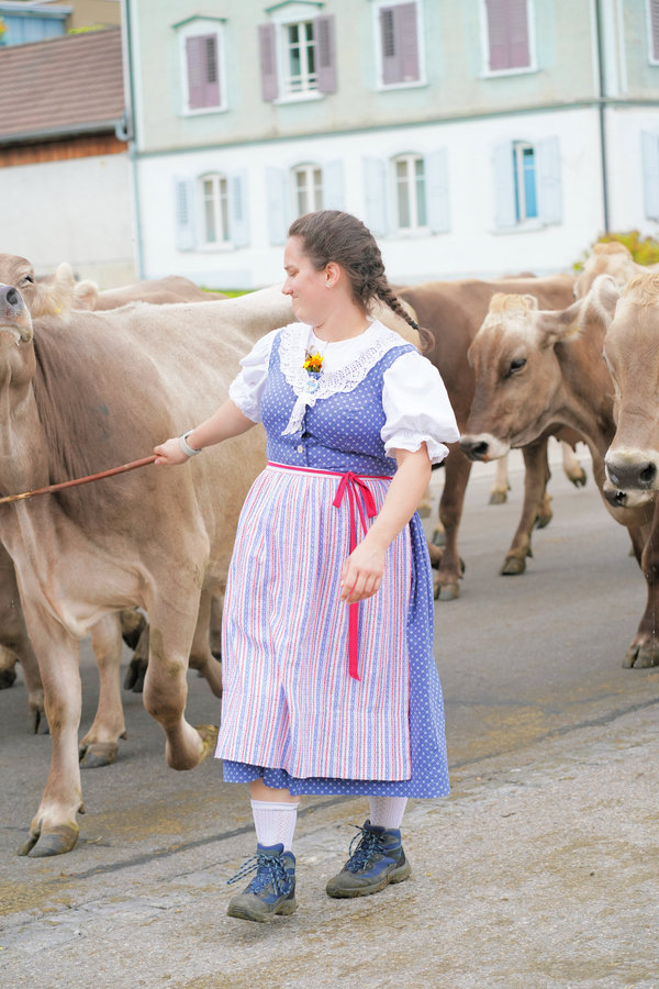 Full-length portrait view of a woman in blue traditional dress and a striped skirt holding a stick among cows.