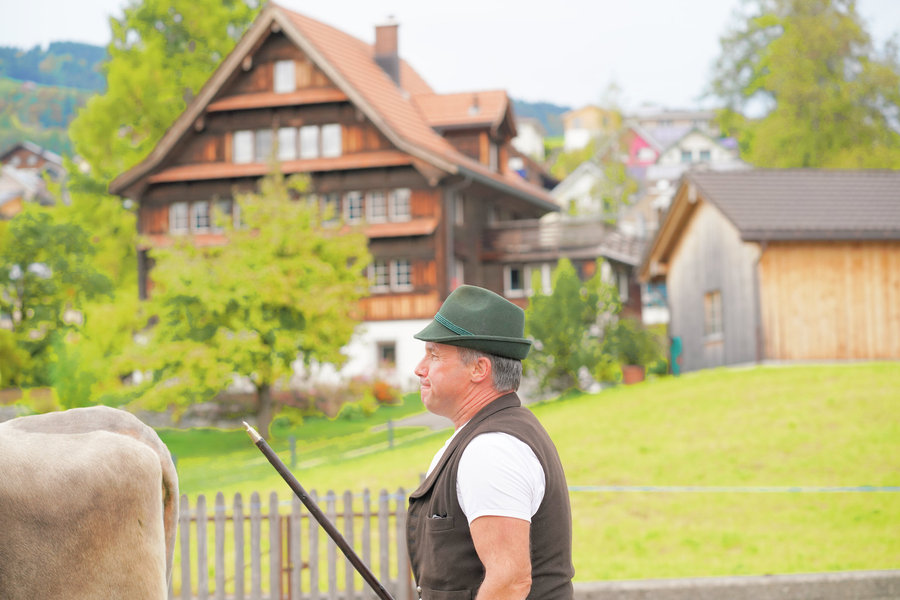 A man in a green hat and dark waistcoat walks with a stick beside a cow, with a wooden house and barn behind him.