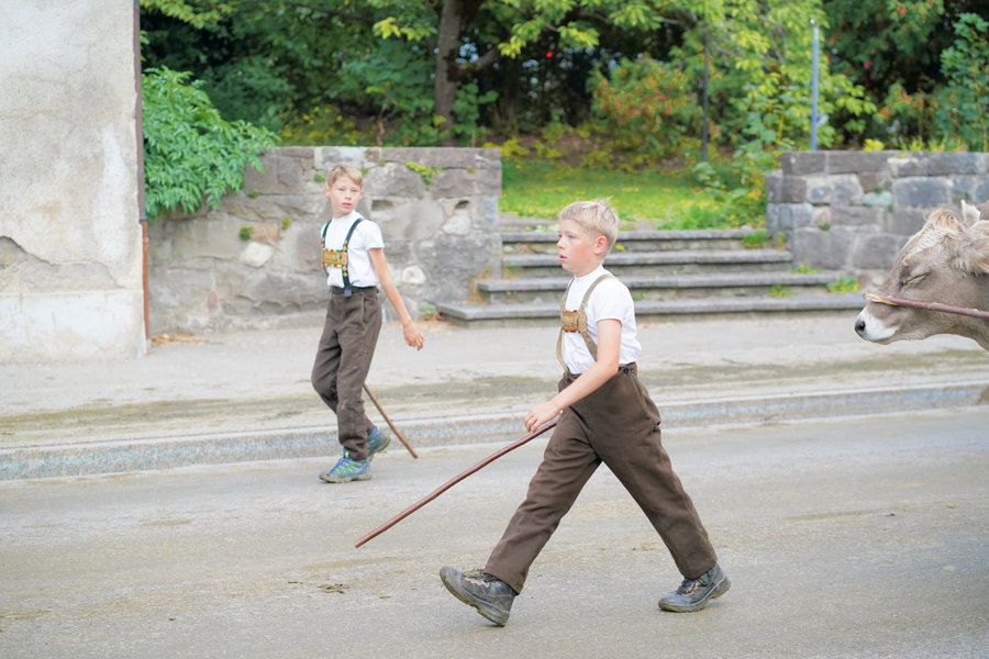 Two boys in white shirts and embroidered braces carry sticks across the street; a cow looks into the frame on the right.