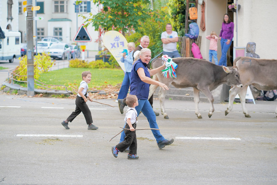 A smiling woman and two children carrying sticks walk beside brown cows while people watch from outside a house.