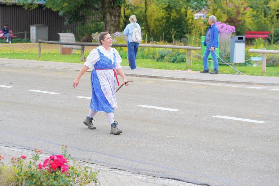 A woman in blue traditional dress and a striped apron carries a stick across the street.