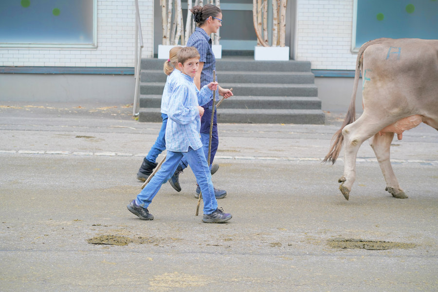 A boy in a light-blue shirt looks towards the camera as he walks, with a woman following and a cow ahead on the right.