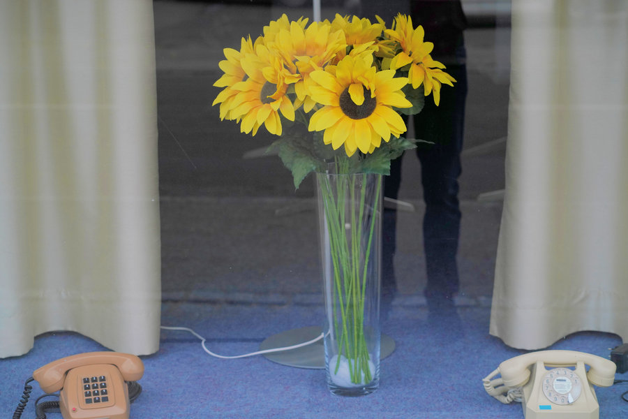 Yellow sunflowers in a tall glass vase in a shop window, with two old telephones below them.